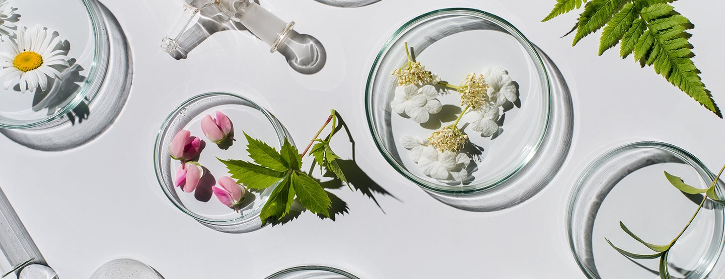 Cosmeticele naturale: mic ghid pentru îngrijirea naturală