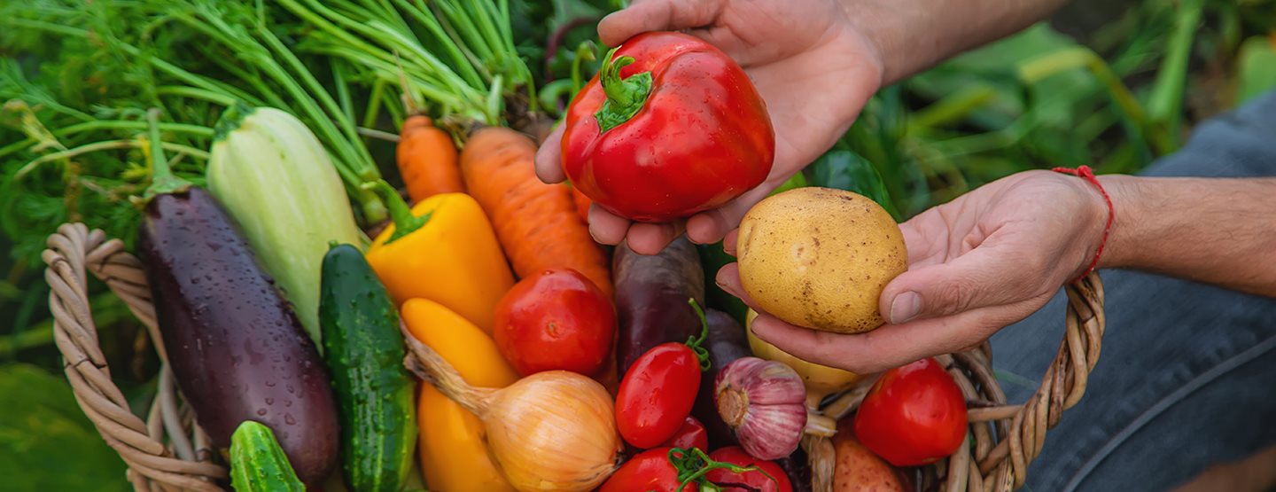 Produse alimentare bio: Așa de puternic este boomul produselor bio