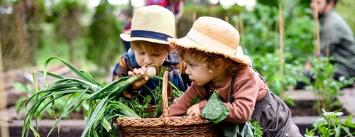 Șapte idei pentru grădinărit cu copiii