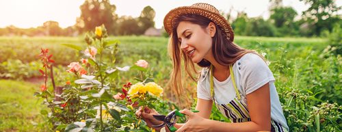 Grădinărit fără plastic: 5 trucuri pentru un paradis verde 