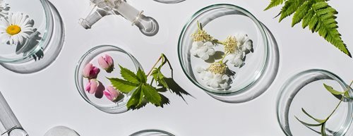 Cosmeticele naturale: mic ghid pentru îngrijirea naturală