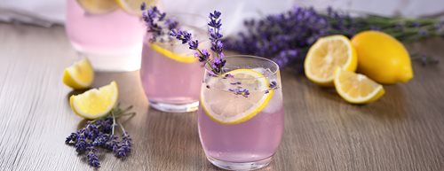 Sirop de lavandă de casă – pentru un Spritz de lavandă răcoritor
