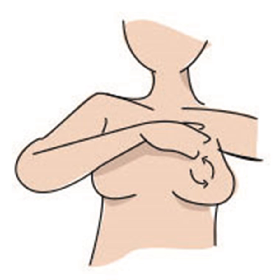 Brustkrebsvorsorge: Schritt 3