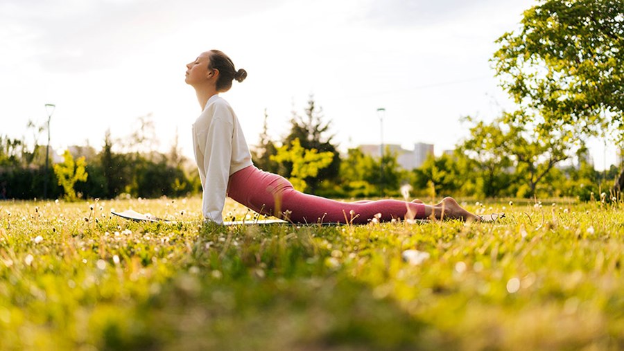 FRUMUSEȚE ACTIVĂ: Revista de la dm