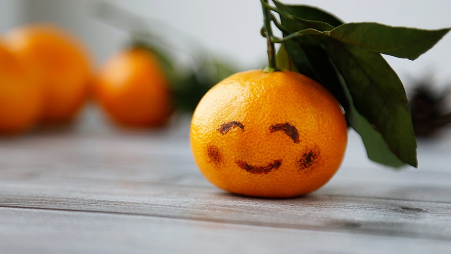 FRUMUSEȚE ACTIVĂ: Revista de la dm