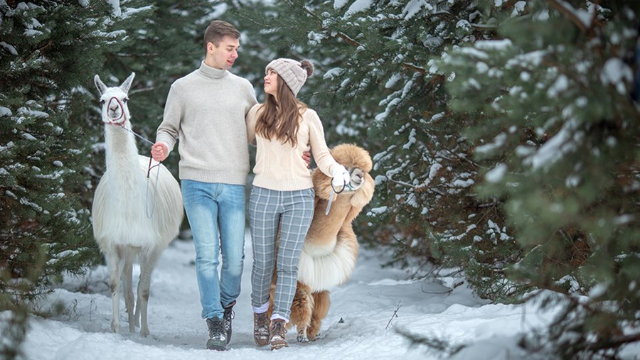 FRUMUSEȚE ACTIVĂ: Revista de la dm