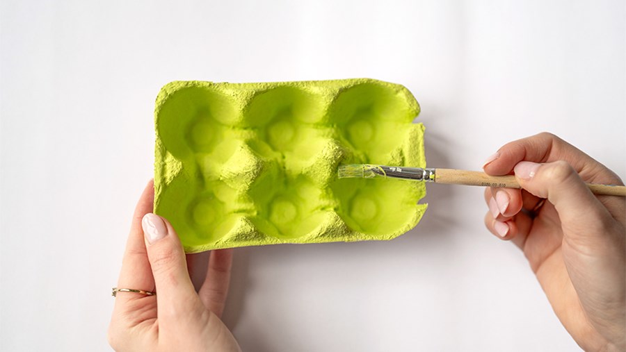 FRUMUSEȚE ACTIVĂ: Revista de la dm