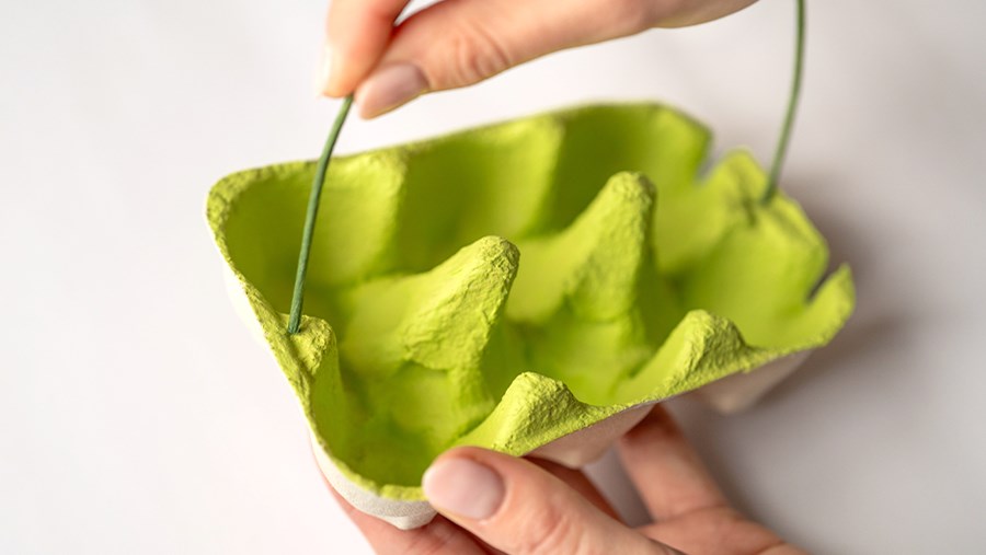 FRUMUSEȚE ACTIVĂ: Revista de la dm